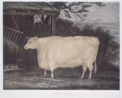 A Prize Ox, Engraved by John Thompson by Thomas Weaver